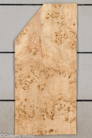 MAPPA BURL 26102-1F