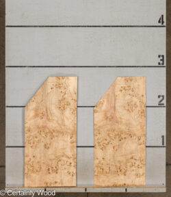 MAPPA_BURL_26102-1F_2