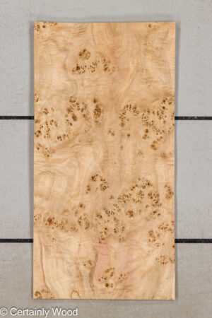 MAPPA BURL 26102-1G