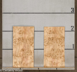 MAPPA_BURL_26102-1G_2