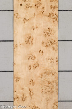 MAPPA_BURL_26102-2A_1