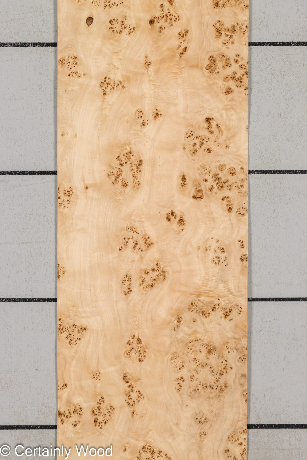 MAPPA_BURL_26102-2A_1