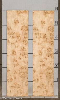 MAPPA_BURL_26102-2A_2