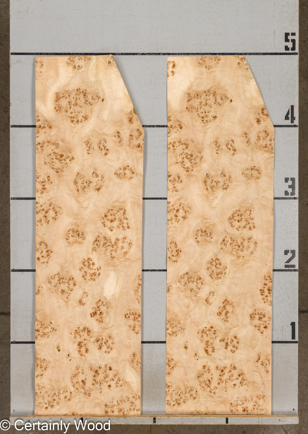 MAPPA_BURL_26102-2B_2 MAPPA_BURL_26102-2B_2