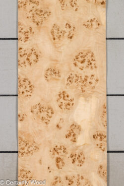 MAPPA_BURL_26102-2C_1