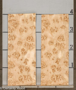 MAPPA_BURL_26102-2C_2