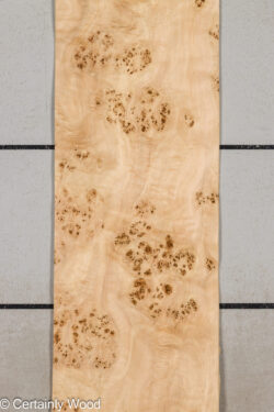 MAPPA_BURL_26102-2D_1