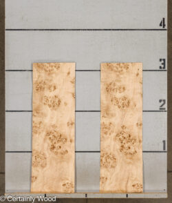 MAPPA_BURL_26102-2D_2