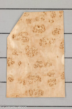 MAPPA_BURL_26102-3A_1