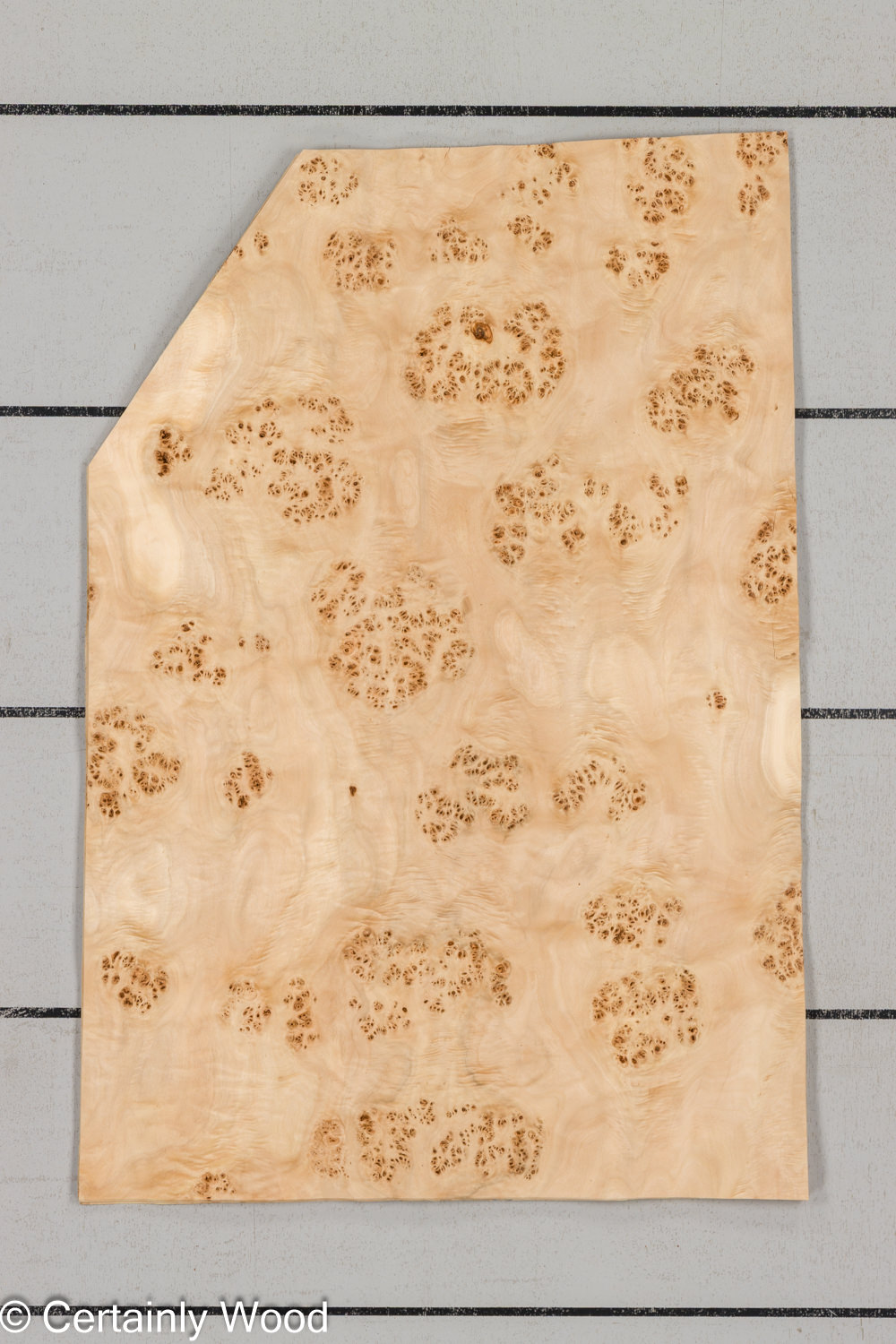 MAPPA_BURL_26102-3A_1