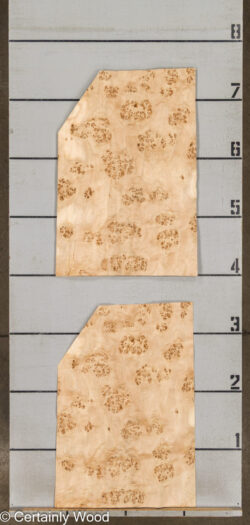 MAPPA_BURL_26102-3A_2