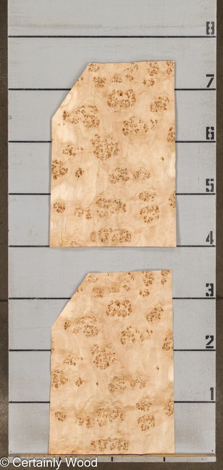 MAPPA_BURL_26102-3A_2 MAPPA_BURL_26102-3A_2