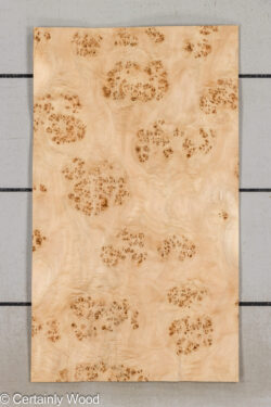 MAPPA_BURL_26102-3B_1