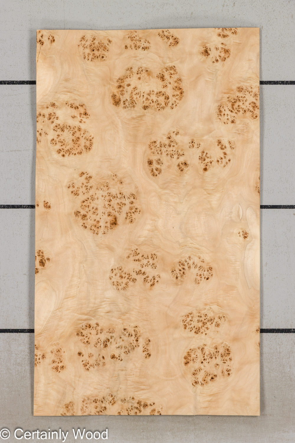 MAPPA_BURL_26102-3B_1