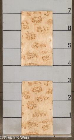 MAPPA_BURL_26102-3B_2