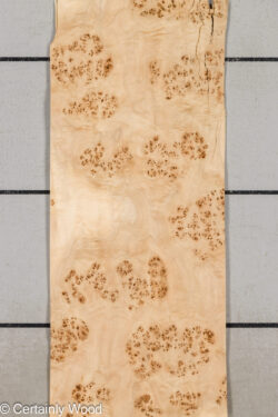 MAPPA_BURL_26102-3C_1