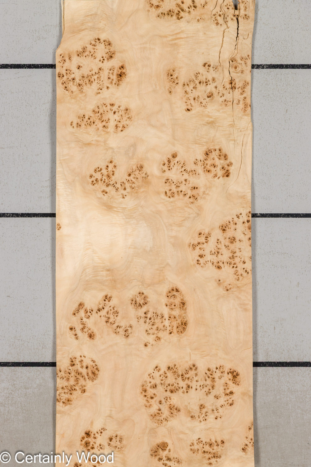 MAPPA_BURL_26102-3C_1