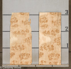 MAPPA_BURL_26102-3C_2