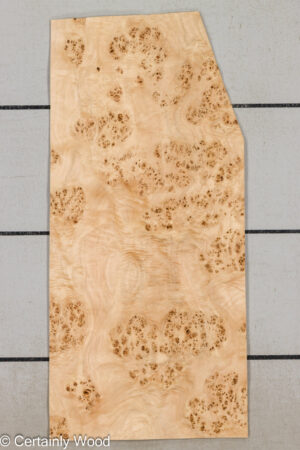 MAPPA BURL 26102-4