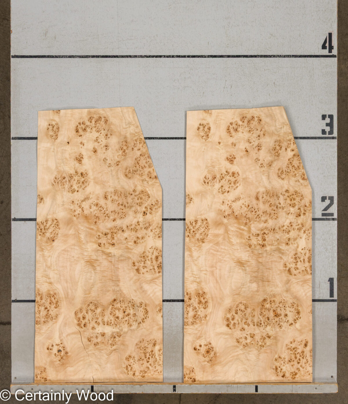 MAPPA_BURL_26102-4_2 MAPPA_BURL_26102-4_2