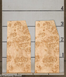 MAPPA_BURL_26102-4_2