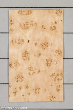 MAPPA_BURL_26102-5A_1