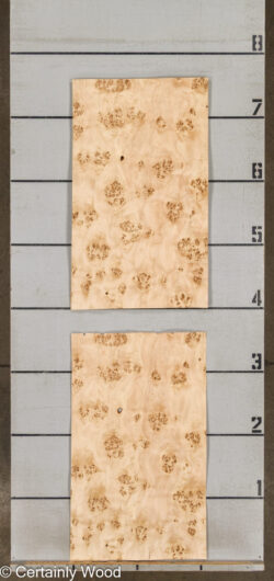 MAPPA_BURL_26102-5A_2