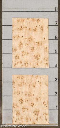 MAPPA_BURL_26102-5B_2