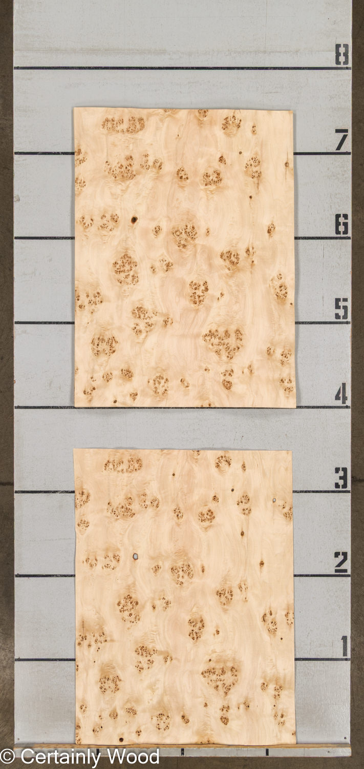 MAPPA_BURL_26102-5B_2 MAPPA_BURL_26102-5B_2