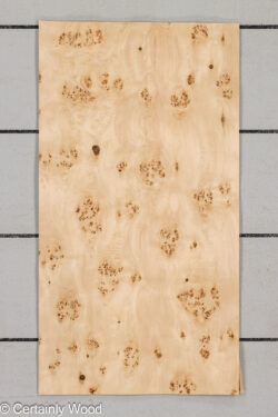 MAPPA_BURL_26102-5C_1