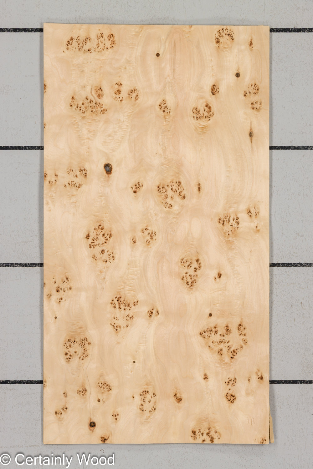 MAPPA_BURL_26102-5C_1 MAPPA_BURL_26102-5C_1