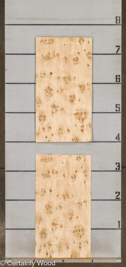 MAPPA_BURL_26102-5C_2