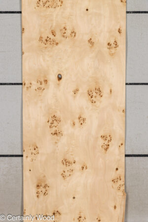 MAPPA BURL 26102-5D
