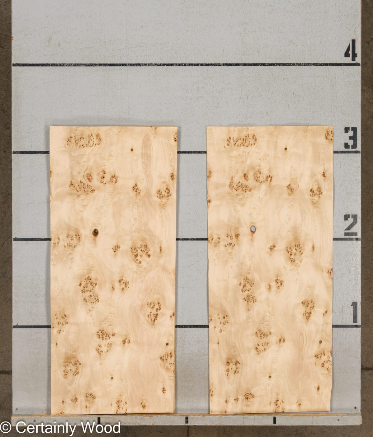 MAPPA_BURL_26102-5D_2 MAPPA_BURL_26102-5D_2