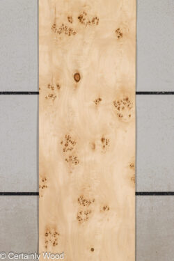 MAPPA_BURL_26102-5E_1