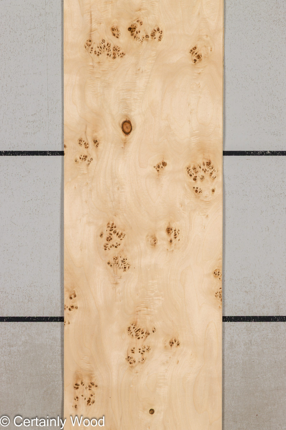 MAPPA_BURL_26102-5E_1