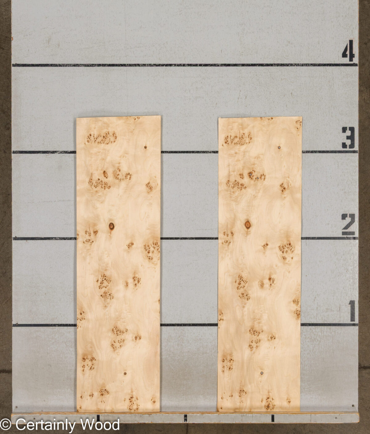 MAPPA_BURL_26102-5E_2 MAPPA_BURL_26102-5E_2