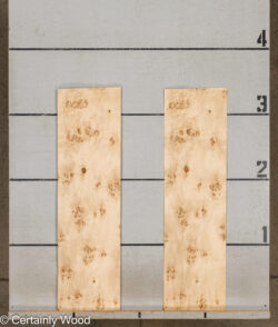 MAPPA_BURL_26102-5E_2