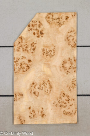 MAPPA BURL 26102-6