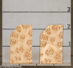 MAPPA_BURL_26102-6_2