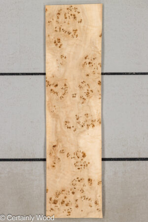 MAPPA BURL 26102-7