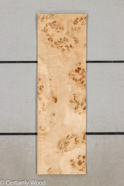 MAPPA_BURL_26102-8_1