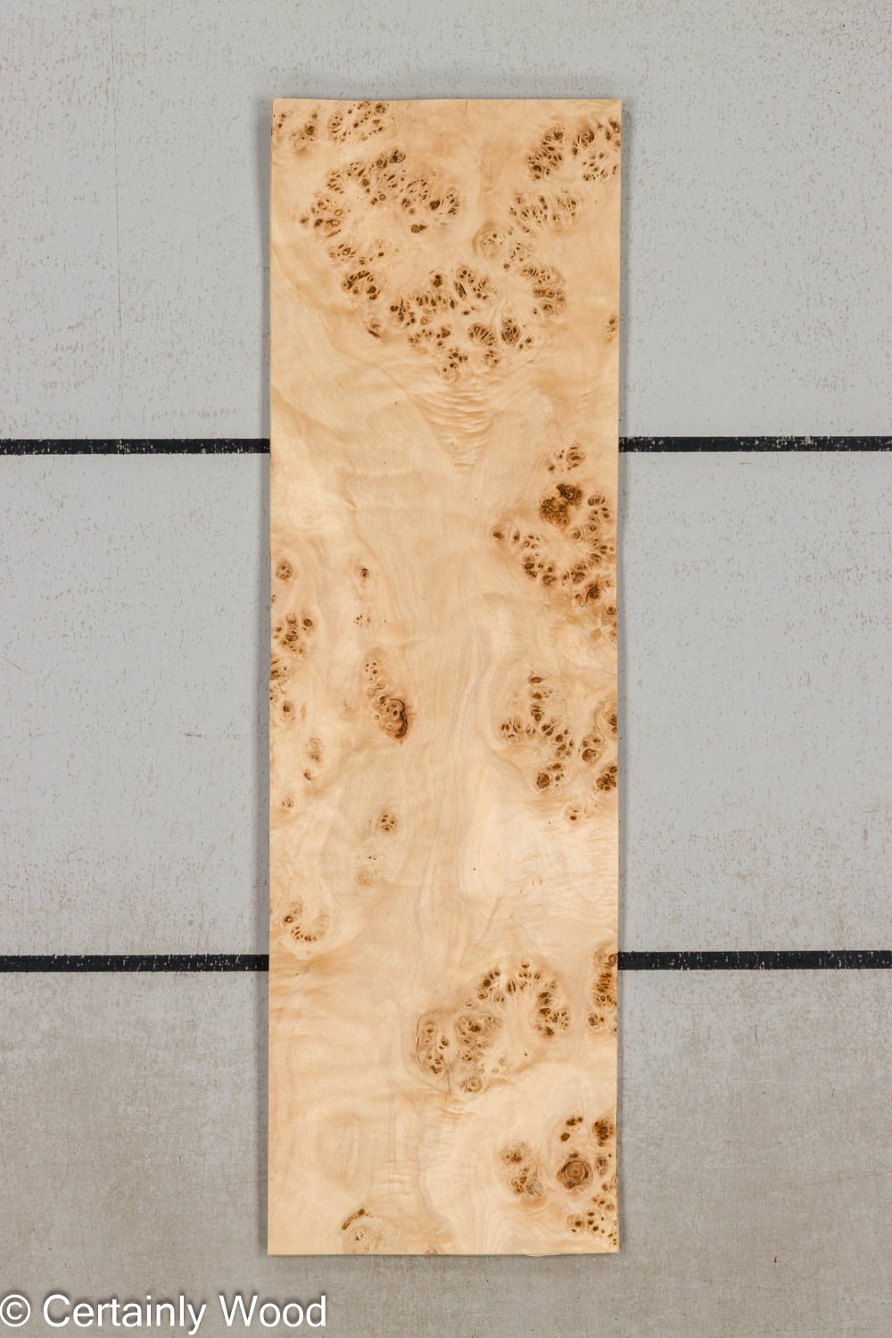 MAPPA_BURL_26102-8_1