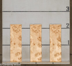 MAPPA_BURL_26102-8_2