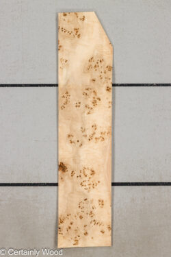 MAPPA_BURL_26102-9_1