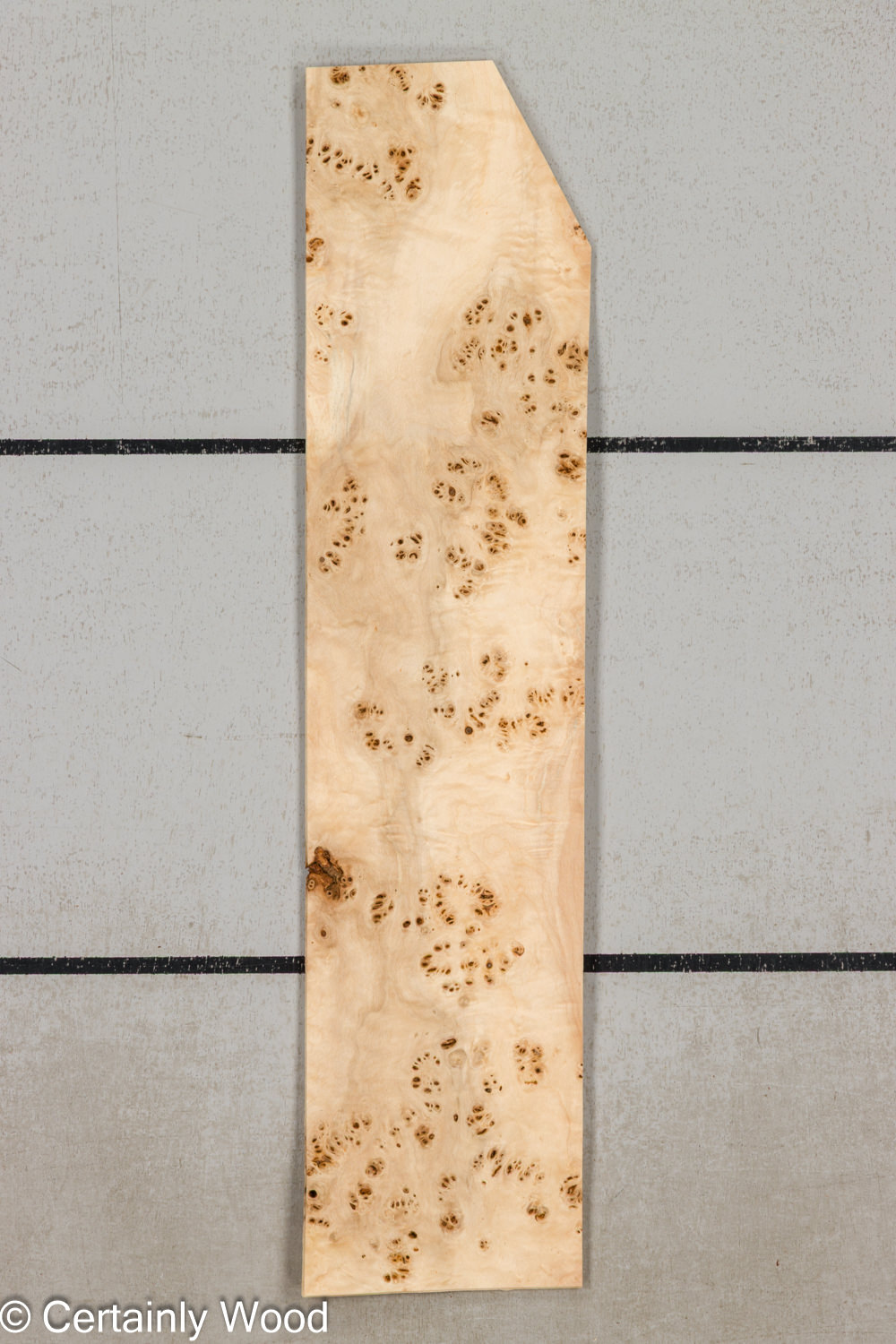 MAPPA_BURL_26102-9_1