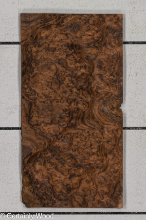 WAL BURL 25004-01A