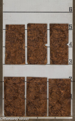 WAL_BURL_25004-01A_2