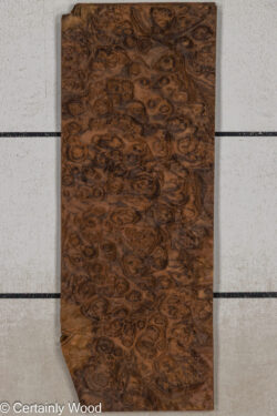 WAL_BURL_25004-01C_1