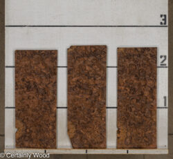 WAL_BURL_25004-01C_2